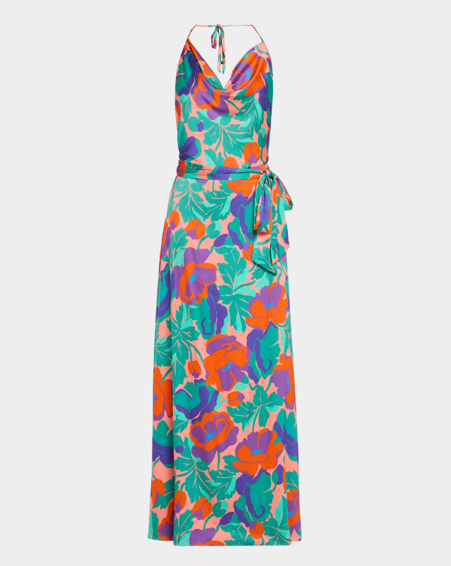 Ramy Brook Corrine Floral-Print Column Gown